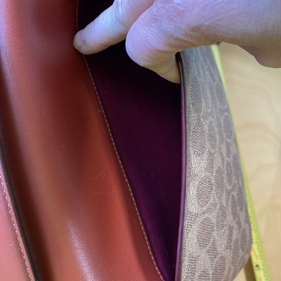 Cassie - Picture 7 of 9